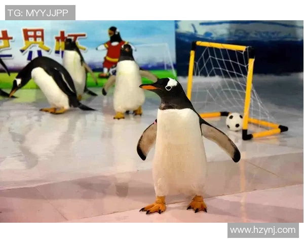 18企鹅足球明星赛盛典即将开启精彩对决引爆全场热情与期待